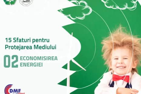 Energia regenerabila in productie